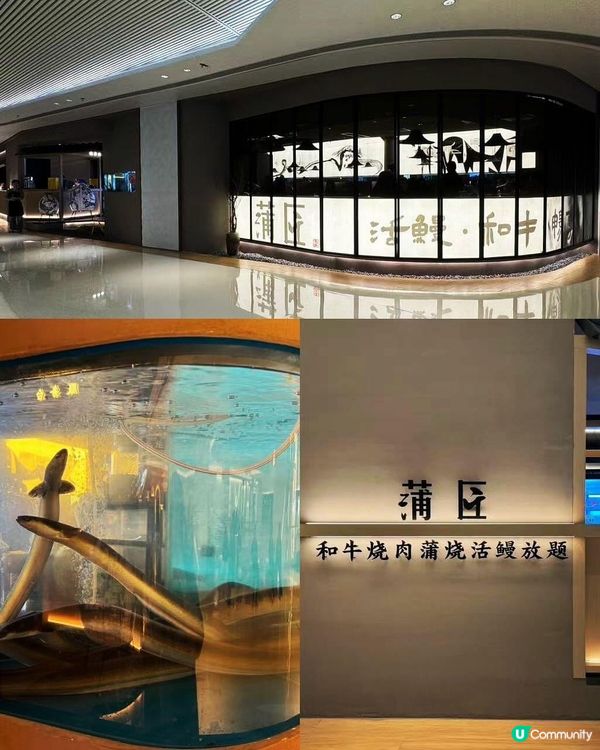 蒲匠和牛燒肉放題🔥 食到停唔到！