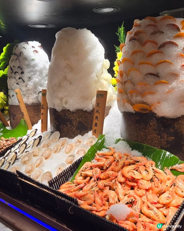 159人仔一位都抵...飽往走