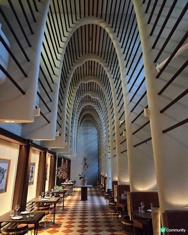 超美的木化石主題餐廳