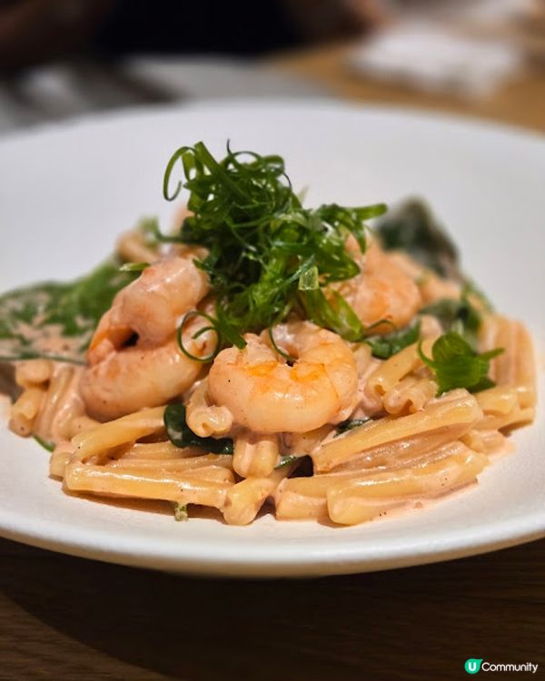 超美的木化石主題餐廳