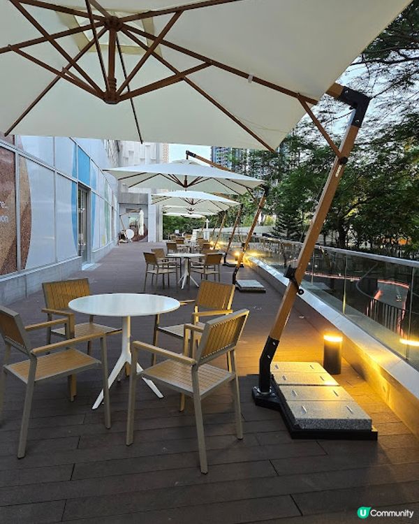 超美的木化石主題餐廳