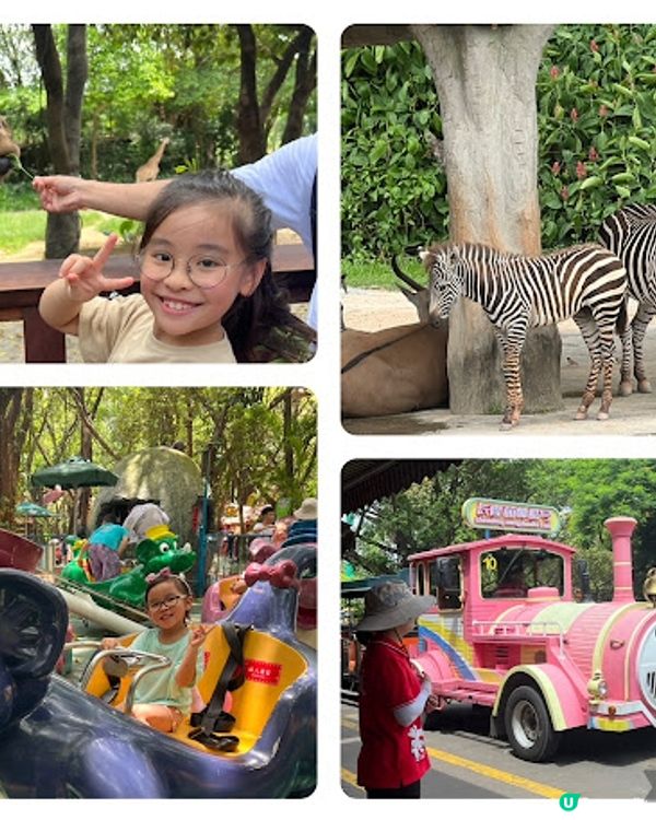 【親子好去處】暑假攻略! 大玩特玩玩盡廣州長隆度假區 | 2日1夜攻略