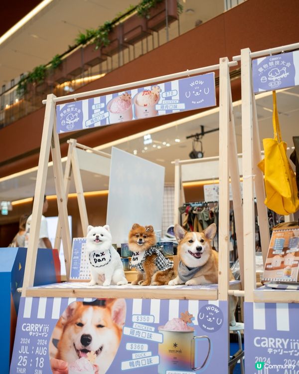 AIRSIDE 狗狗奧運會｜限量snowpeak寵物雪糕