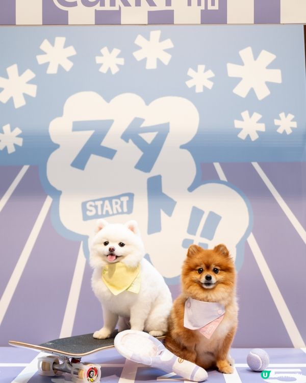 AIRSIDE 狗狗奧運會｜限量snowpeak寵物雪糕