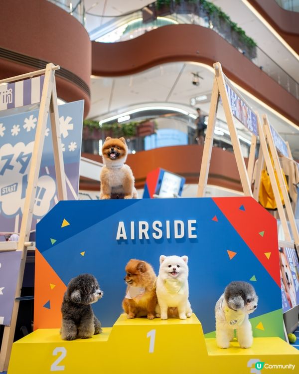 AIRSIDE 狗狗奧運會｜限量snowpeak寵物雪糕
