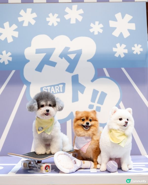 AIRSIDE 狗狗奧運會｜限量snowpeak寵物雪糕