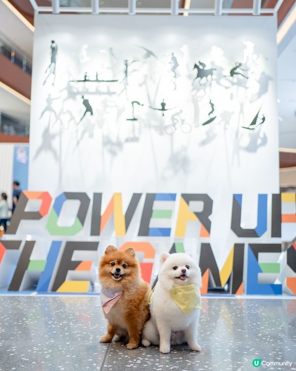 AIRSIDE 狗狗奧運會｜限量snowpeak寵物雪糕