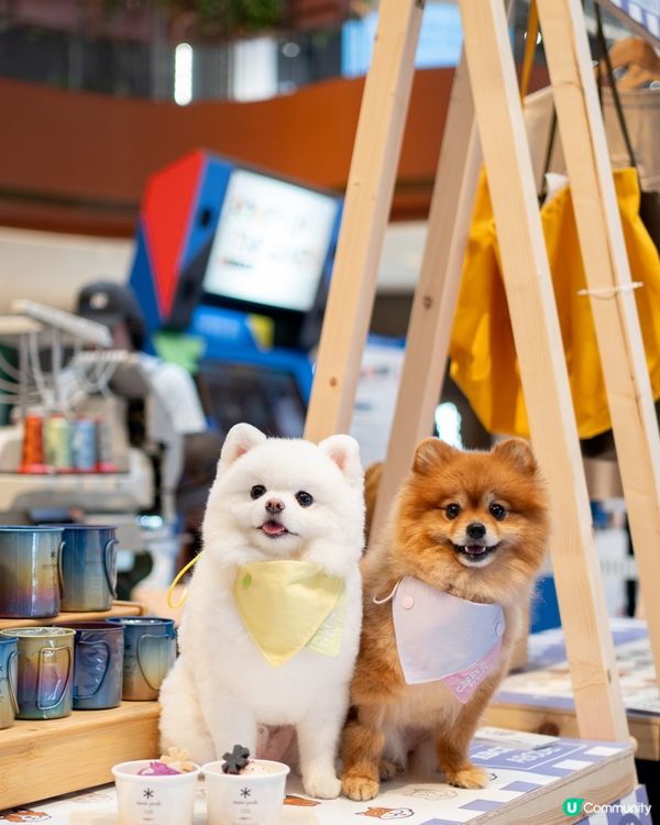 AIRSIDE 狗狗奧運會｜限量snowpeak寵物雪糕