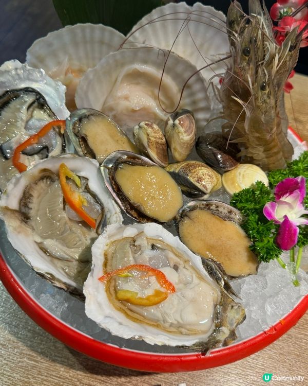 淥鼎記養生火鍋🍲大滿足！😋