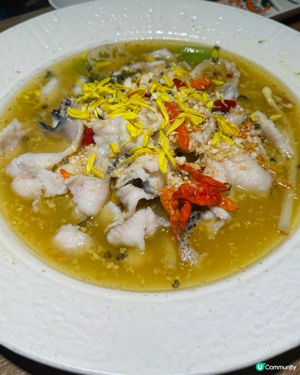 淥鼎記養生火鍋🍲大滿足！😋