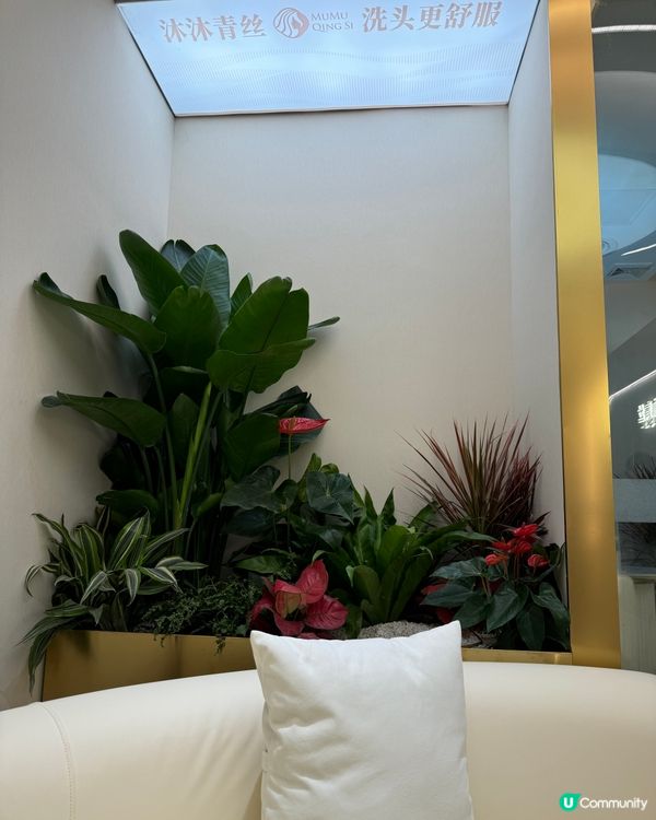 頭療解壓💆🏻‍♀️  一過關就嚟做！