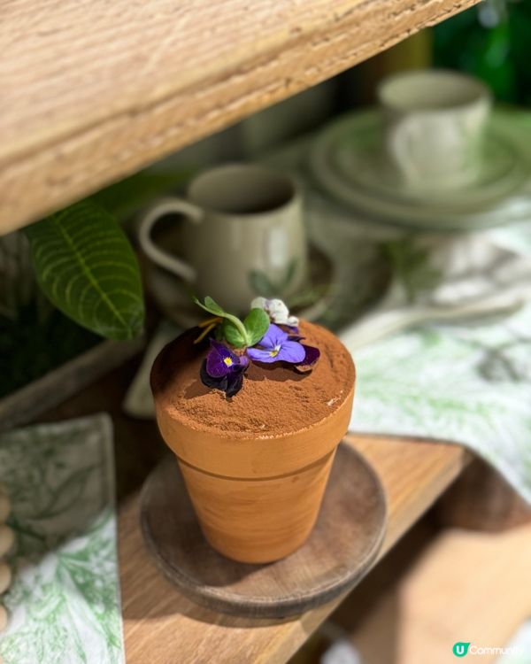 ( ºΔº )髮型屋都有打卡𝓬𝓪𝓯𝓮?!