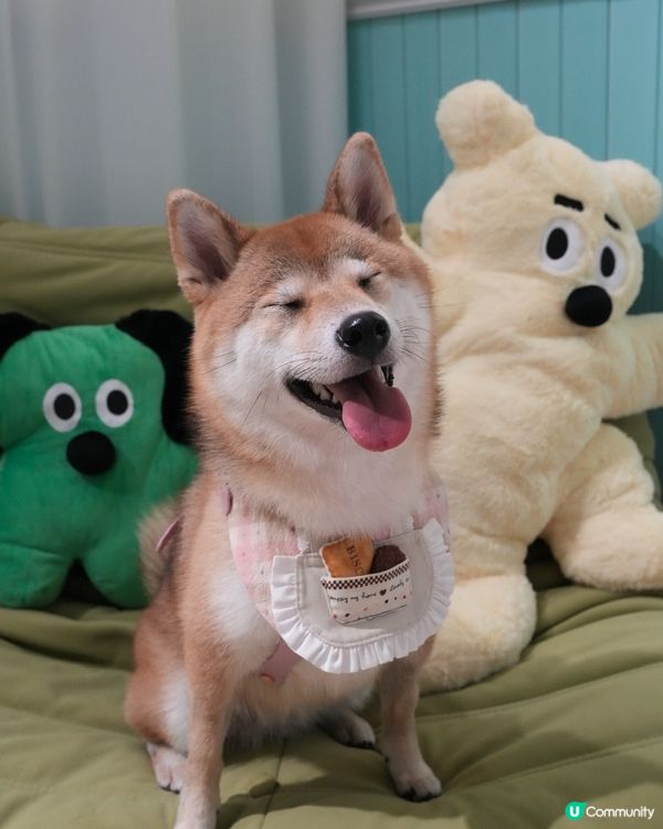 滿滿肉肉餡嘅蛋糕🍰