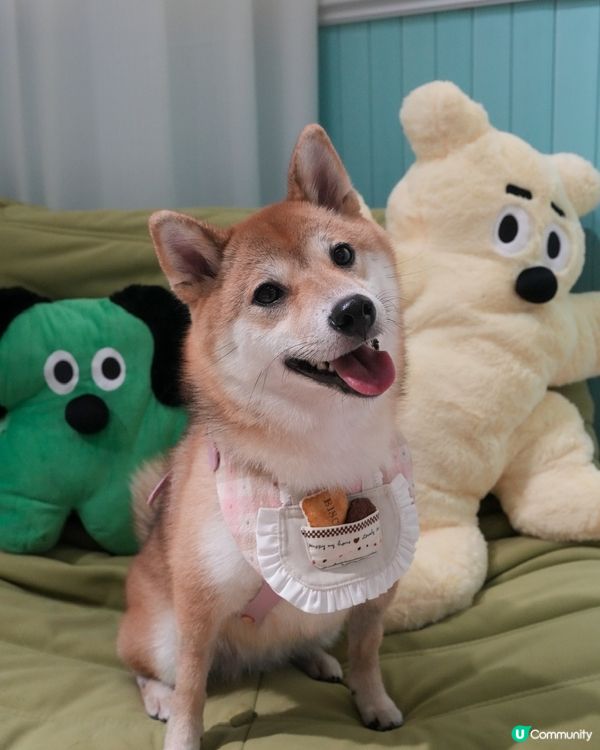 滿滿肉肉餡嘅蛋糕🍰