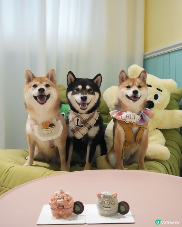 滿滿肉肉餡嘅蛋糕🍰