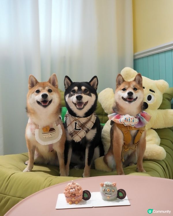 滿滿肉肉餡嘅蛋糕🍰