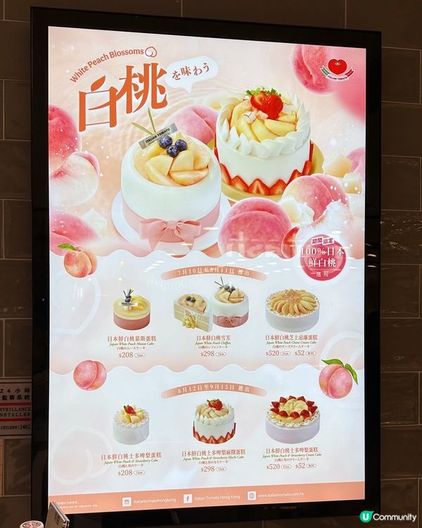 期間限定100%日本鮮白桃蛋糕系列❤️