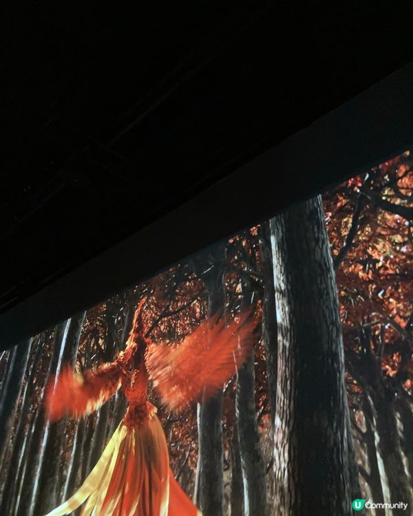 沉浸式的藝術在北角K11