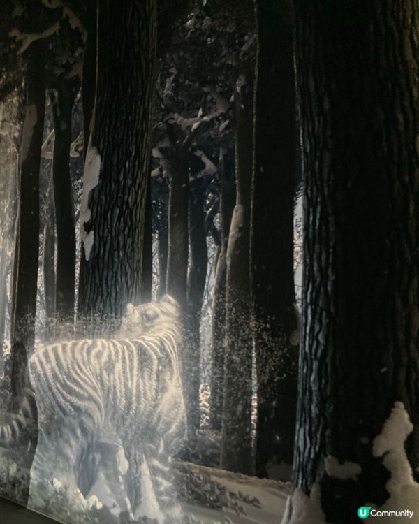 沉浸式的藝術在北角K11