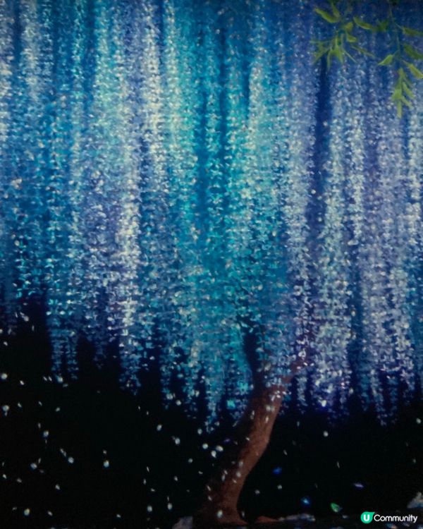 沉浸式的藝術在北角K11