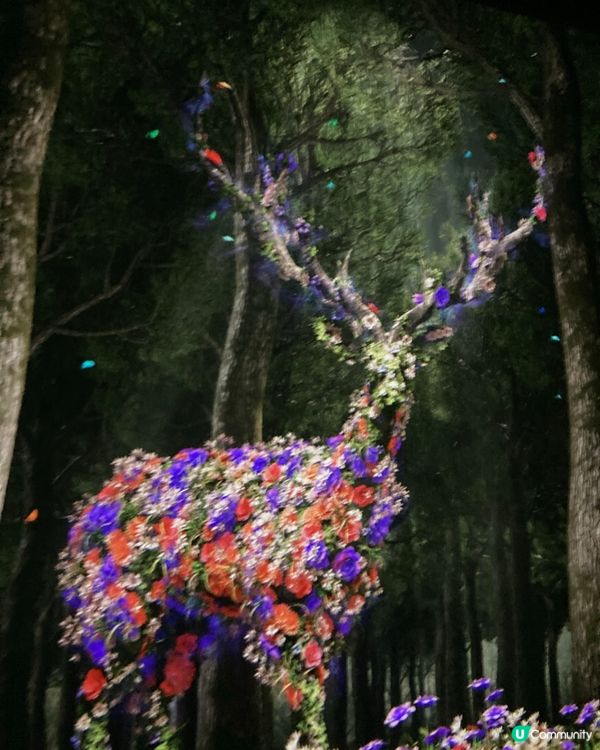 沉浸式的藝術在北角K11