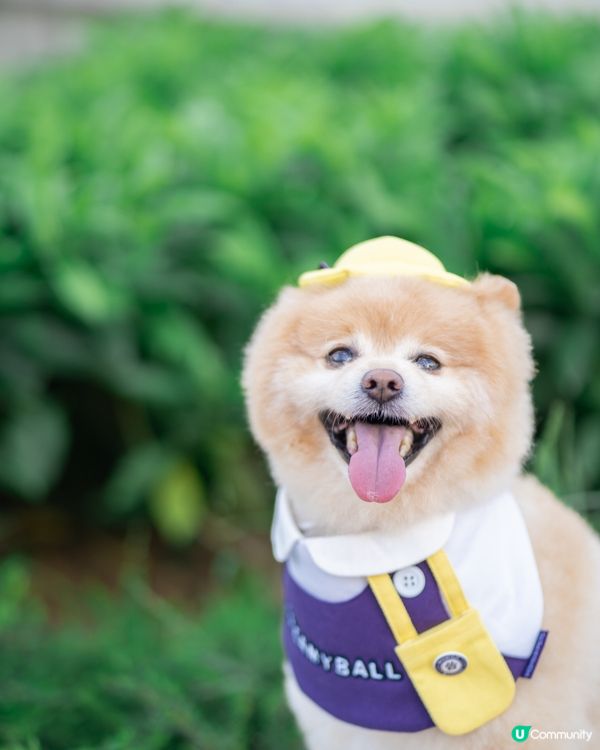 放狗，聖地將軍澳南橋附近一帶真係好多打卡位！除咗南橋必影嘅景...