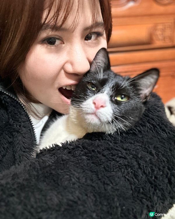 烏冬天生嬲嬲樣，最鐘意食條條、興奮得滯就咬下奴才隻我，經常玩...