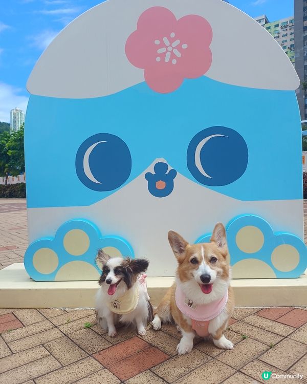 放狗好去處及打卡位置推介：沿著人寵共享的荃灣海濱公園散散步再...