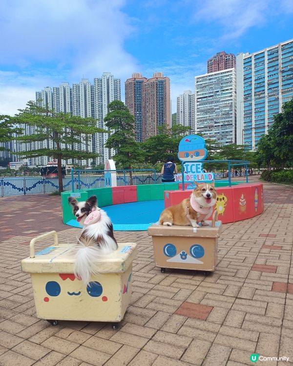 放狗好去處及打卡位置推介：沿著人寵共享的荃灣海濱公園散散步再...