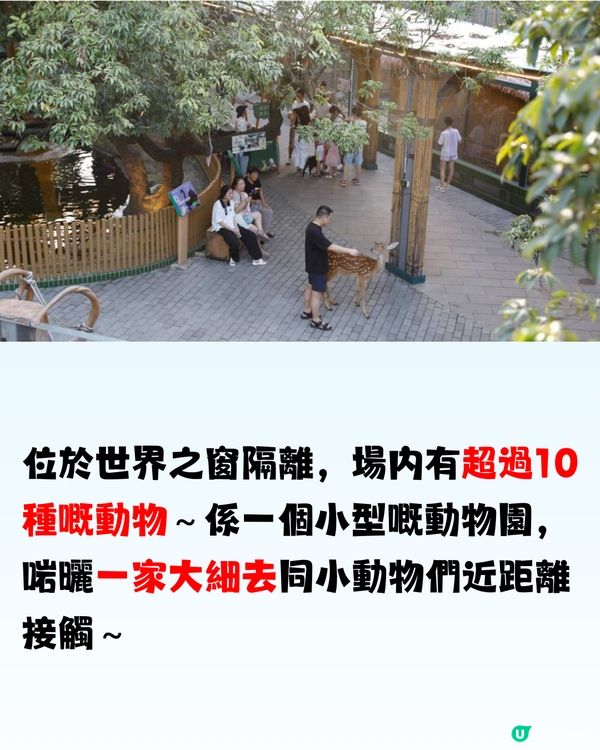 深圳「小奈良」動物園🦌佔地5萬呎! 睇盡11種小動物‼️低至¥64/位