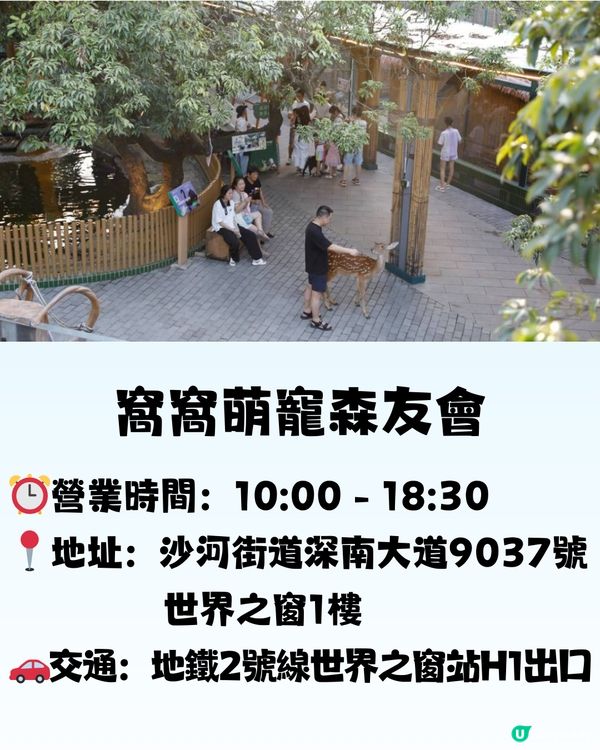 深圳「小奈良」動物園🦌佔地5萬呎! 睇盡11種小動物‼️低至¥64/位