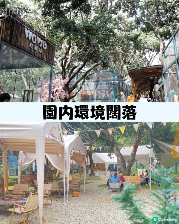 深圳「小奈良」動物園🦌佔地5萬呎! 睇盡11種小動物‼️低至¥64/位