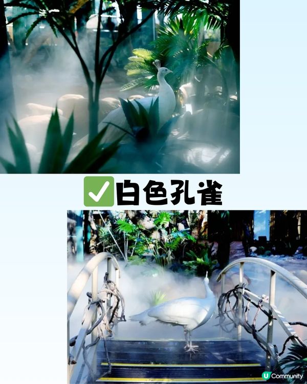 深圳「小奈良」動物園🦌佔地5萬呎! 睇盡11種小動物‼️低至¥64/位