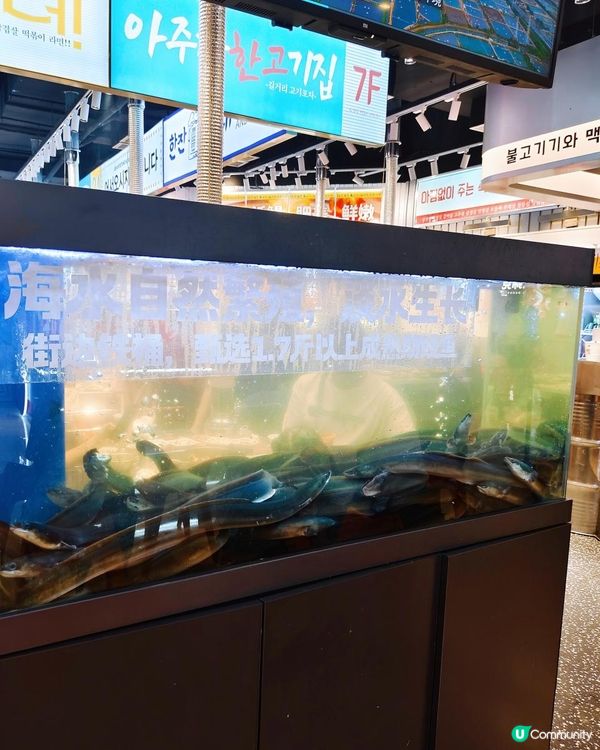 《鰻魚控可能要知道的餐廳》