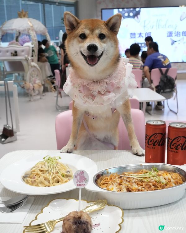 寵物友善 超好食意粉💜