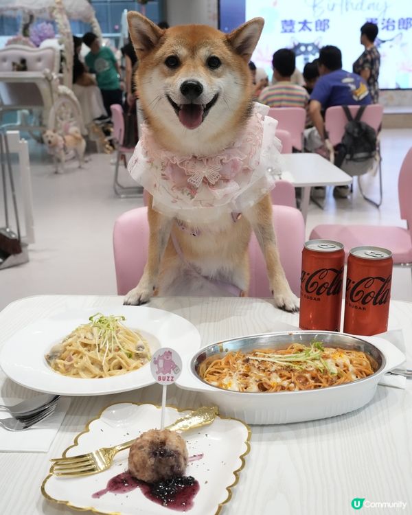 寵物友善 超好食意粉💜