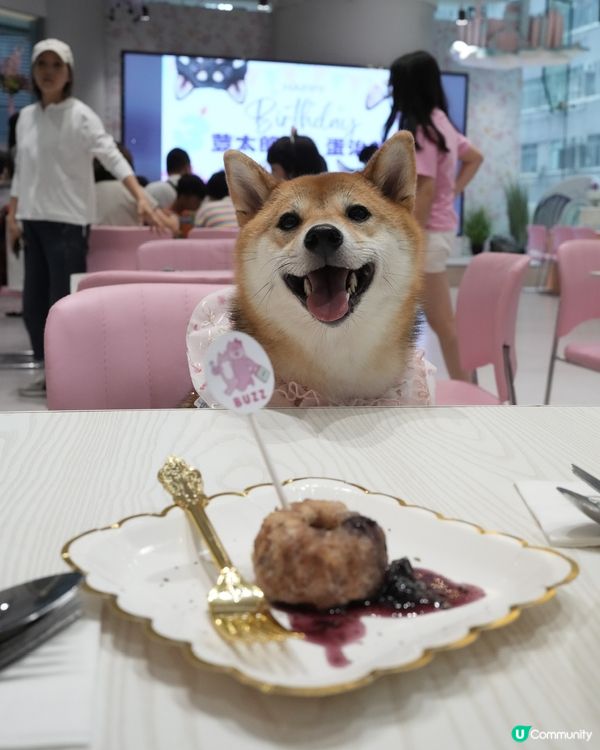 寵物友善 超好食意粉💜