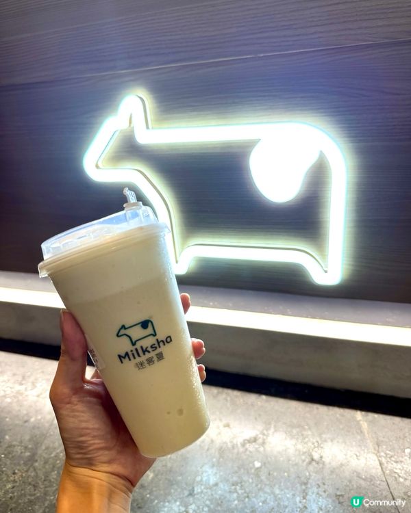 迷客夏🍹原創金鑽鳳梨椰椰爽🍍