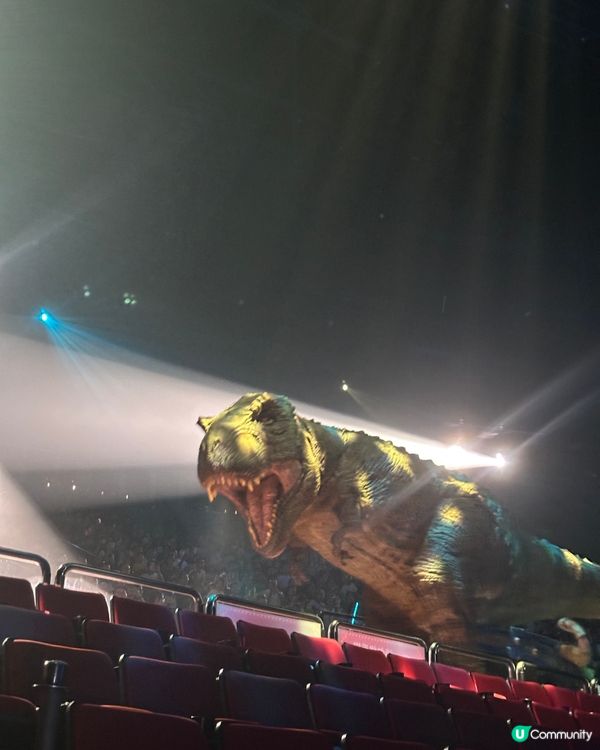 🎪長隆秀精彩絕倫🤩