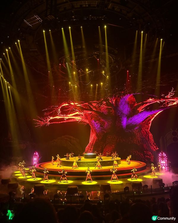 🎪長隆秀精彩絕倫🤩