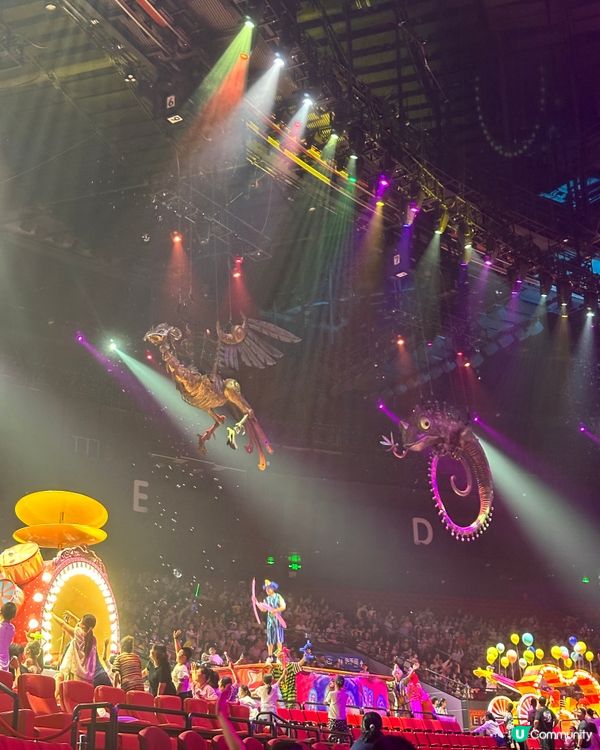 🎪長隆秀精彩絕倫🤩