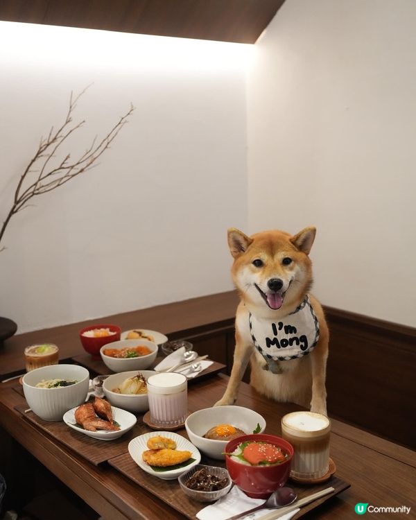 大圍日式餐廳 寵物友善‼️