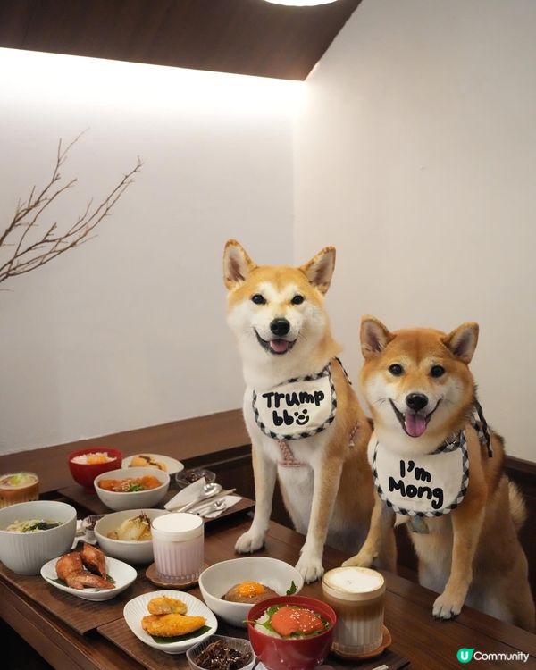 大圍日式餐廳 寵物友善‼️