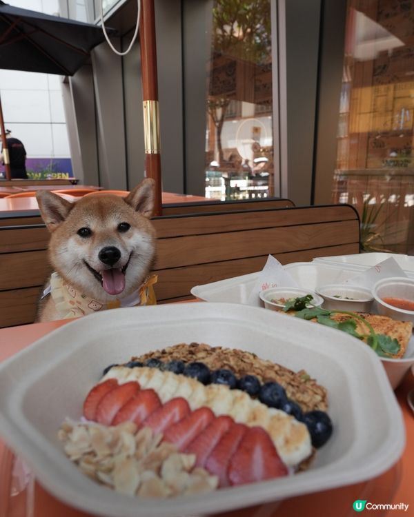 銅鑼灣乳酪碗🤤 減肥首選