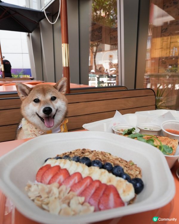 銅鑼灣乳酪碗🤤 減肥首選