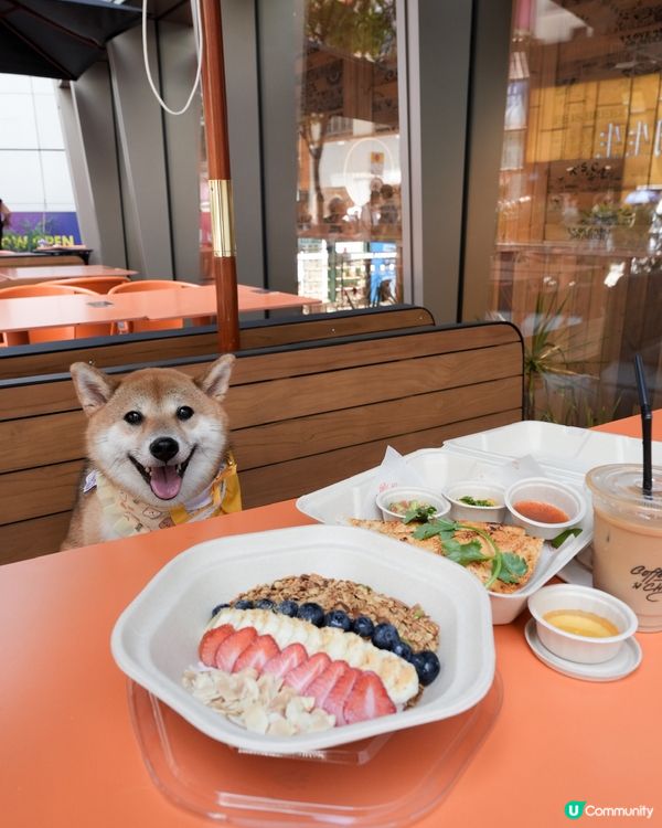 銅鑼灣乳酪碗🤤 減肥首選