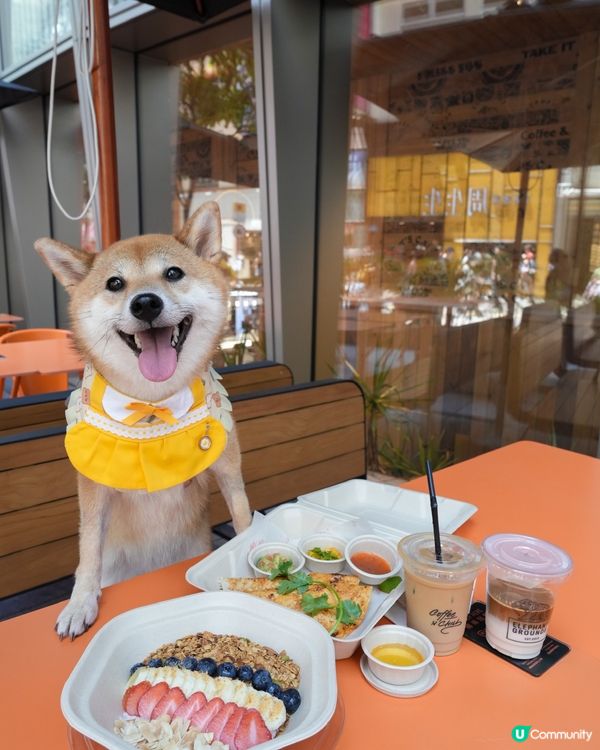 銅鑼灣乳酪碗🤤 減肥首選