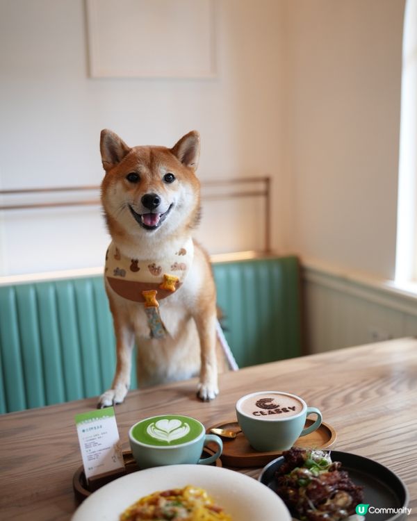 悠閒的法式午餐🫒