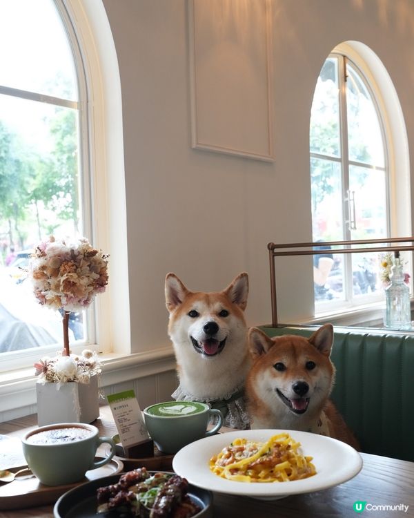 悠閒的法式午餐🫒