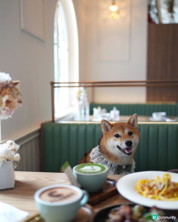 悠閒的法式午餐🫒